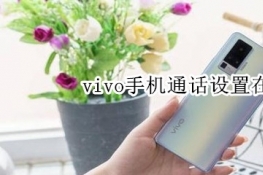 vivo手机通话设置在哪个里面